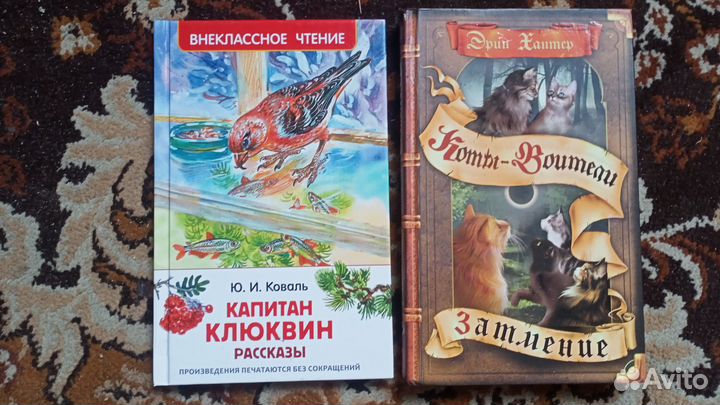 Детские книги Коты-воители и Клюквин