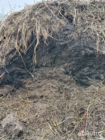 Конский навоз