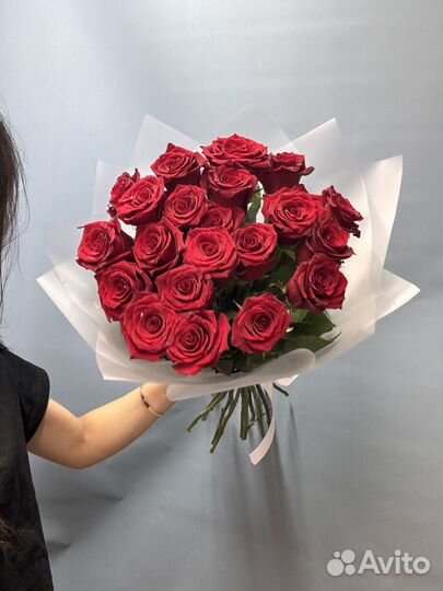 Розы эквадор Экспловер