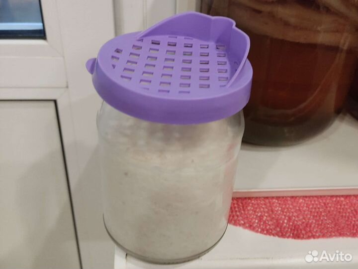 Чайный гриб и тибетский гриб