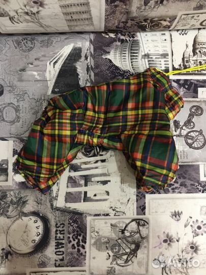 Одежда для тойтерьера