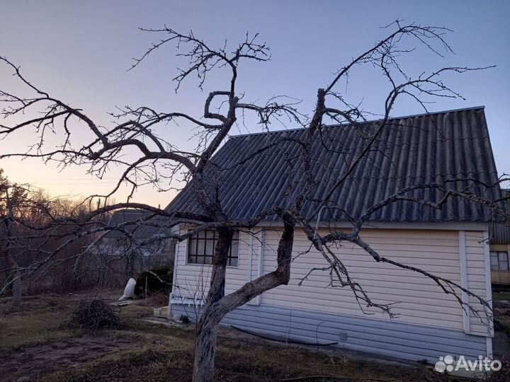 Обрезка сада, спил деревьев