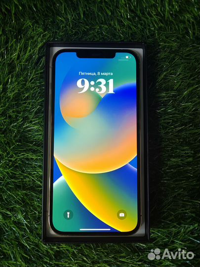 iPhone 12 Pro Max, 256 ГБ