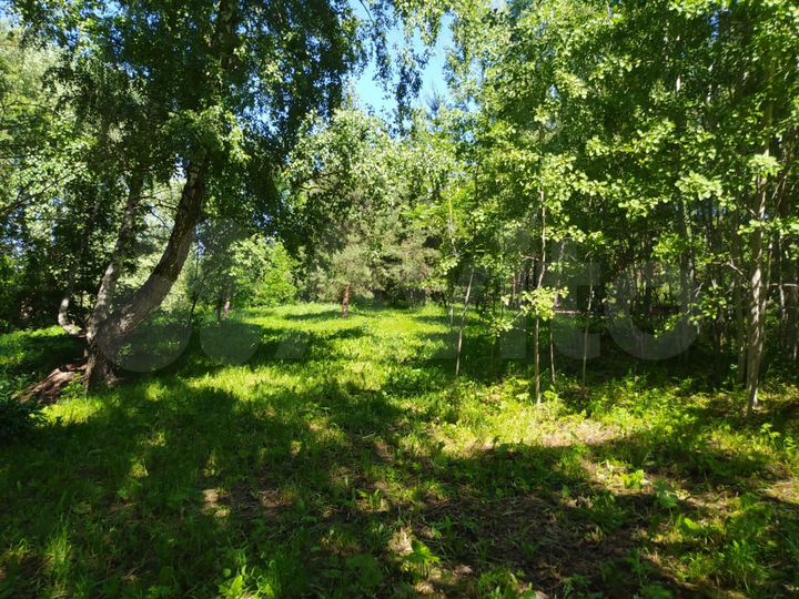 Участок 6,1 сот. (ИЖС)