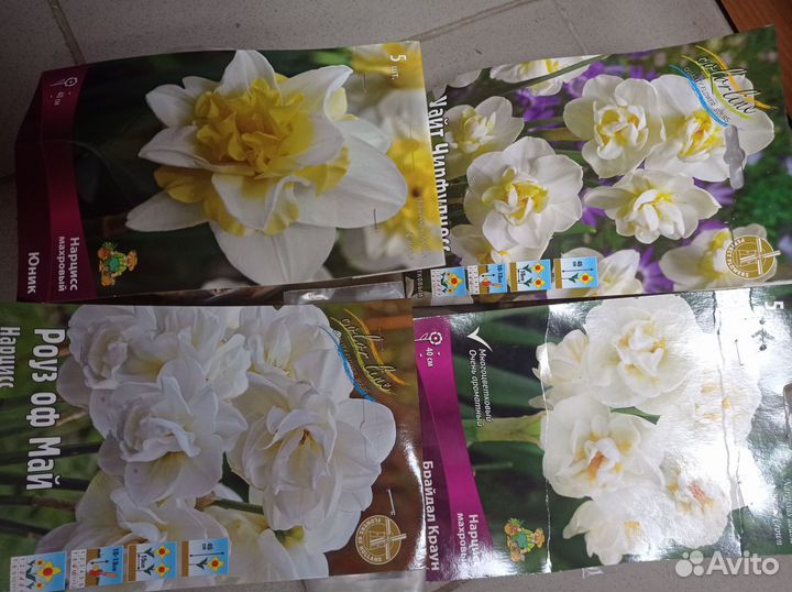 Тюльпаны, крокусы, гиацинты, нарцисы