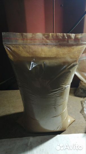 Березовый гриб чага