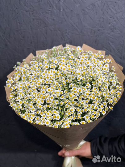 Букет ромашек