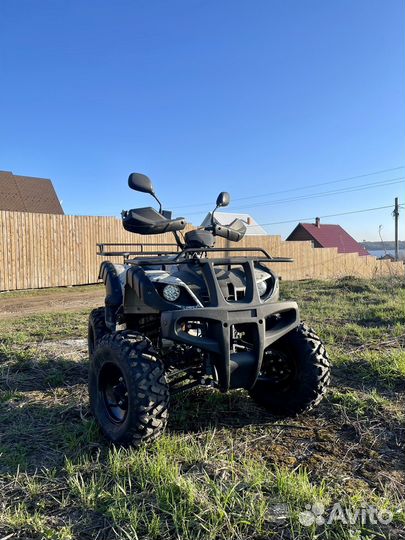 Квадроцикл Avenger Tungus 250