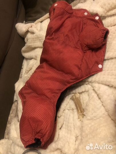 Комбинезон для средней собаки