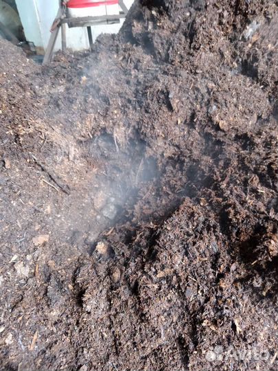 Перигной Конский