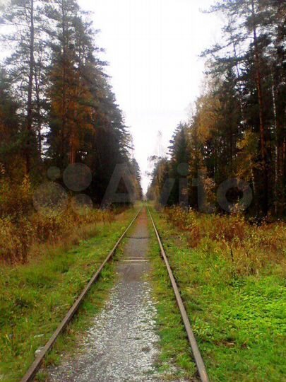Участок 5,5 сот. (СНТ, ДНП)