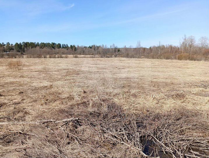 Участок 2,37 га (СНТ, ДНП)