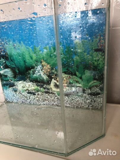 Аквариум
