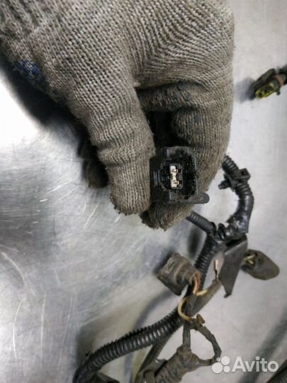 Проводка двс Ford Focus CAK cdda 2002