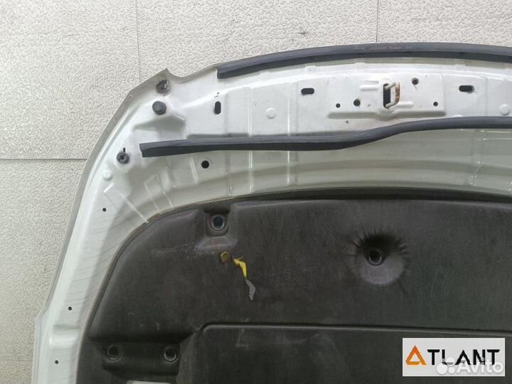 Капот subaru legacy