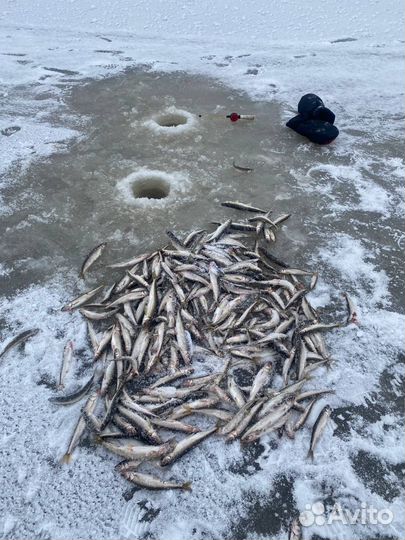 Рыбалка на корюшку