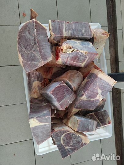 Продам мясо конина