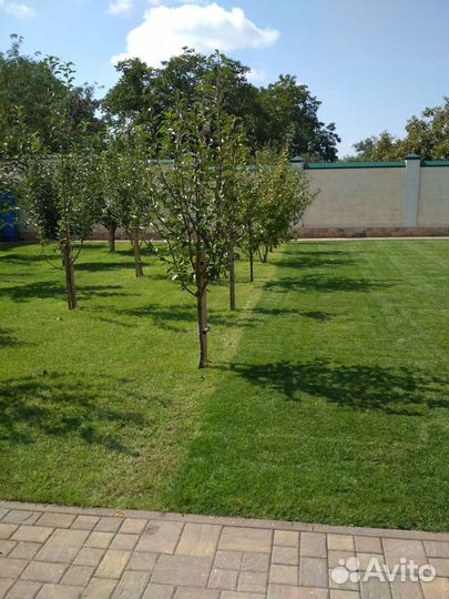 Озеленение и благоустройство на кмв