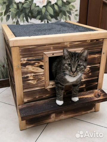 Будка для кота