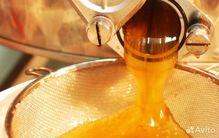 Мёд натуральный алтайский оптом от 16кг