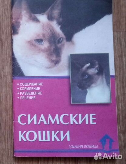 Советы любителям кошек. А.Фогель