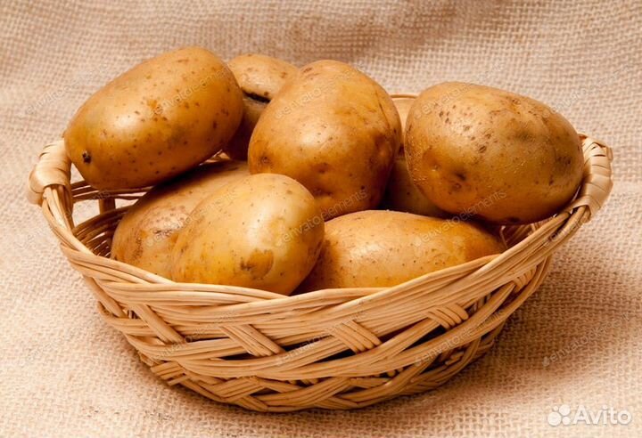 Продажа картофеля