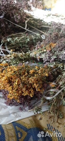 Душица сушеная