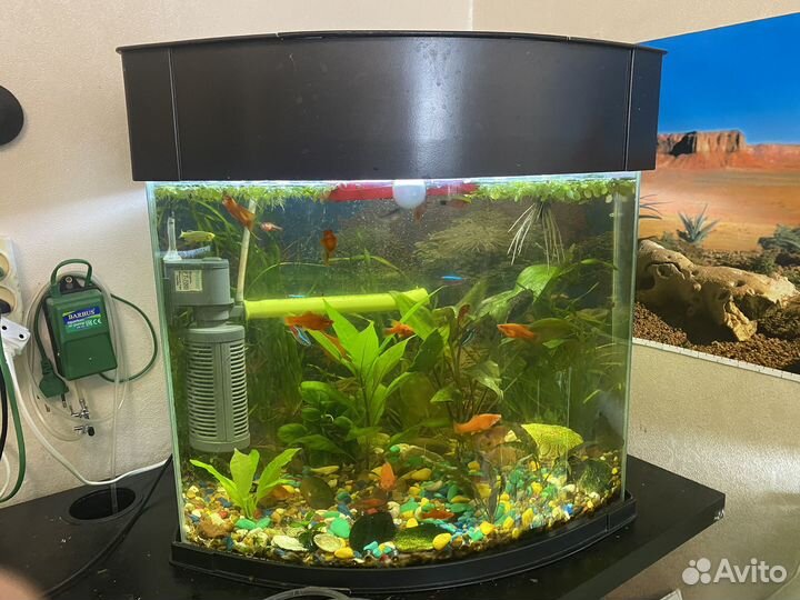 Аквариум