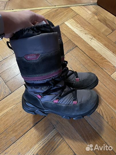 Зимние сапожки ecco 33