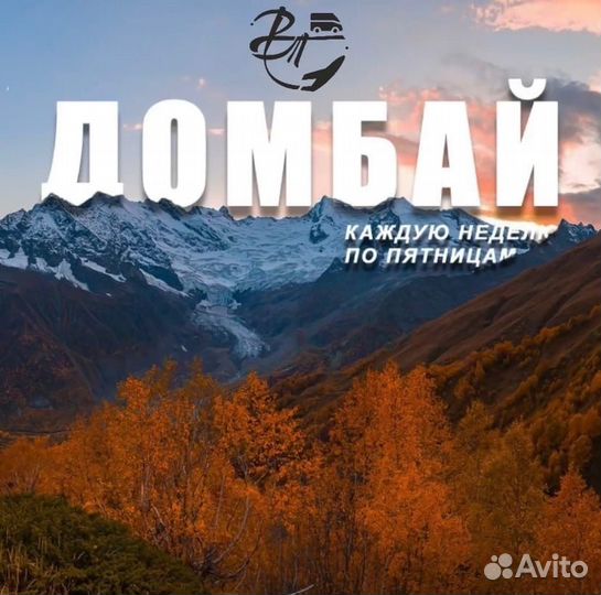 Домбай с Альпаками