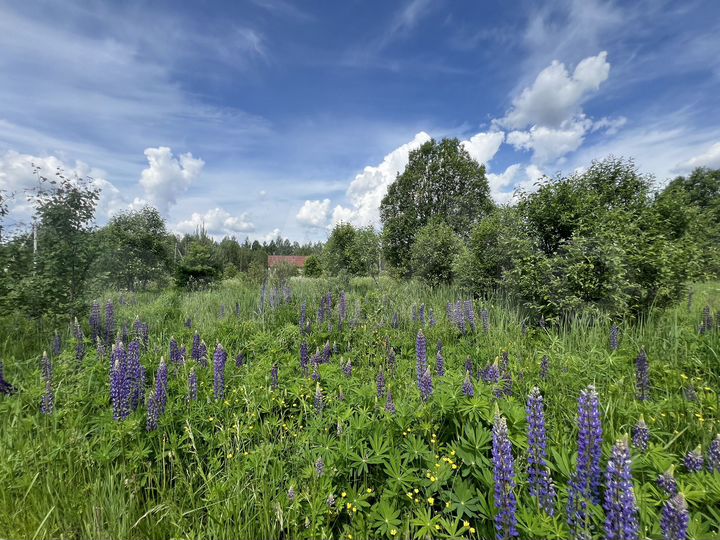 Участок 20 сот. (СНТ, ДНП)