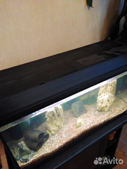 Аквариум 100 л с тумбой,полный комплект