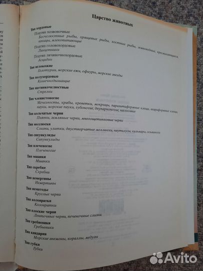 А. Брем 