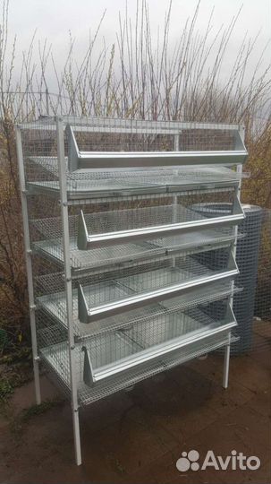 Клетка для перепелов на 50, 100, 150 и 200 голов