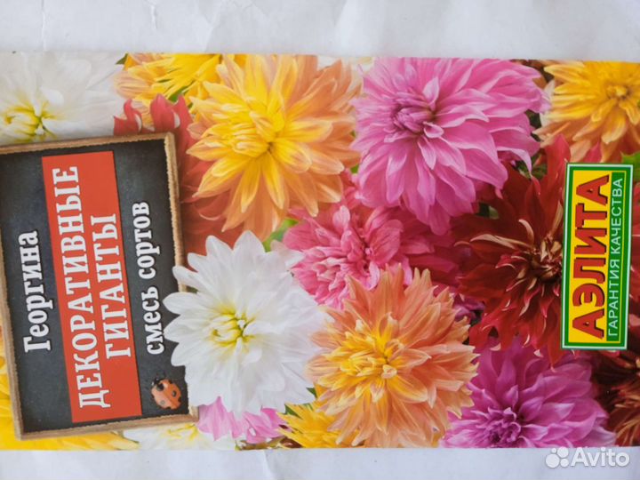 Рассада цветов