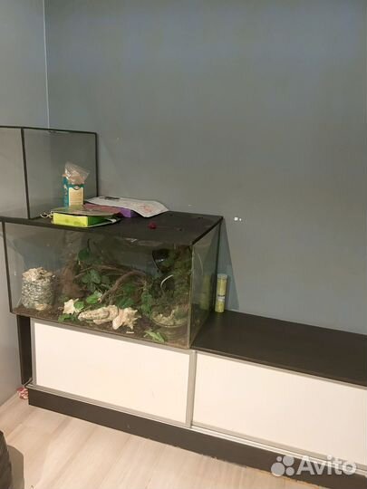 Террариум для рептилий бу