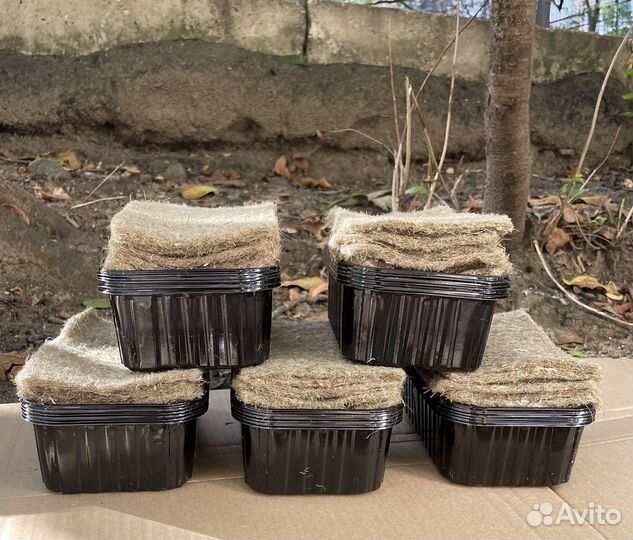 Джутовые коврики для микрозелени