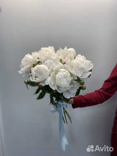 Цветы/Букет из Пионов