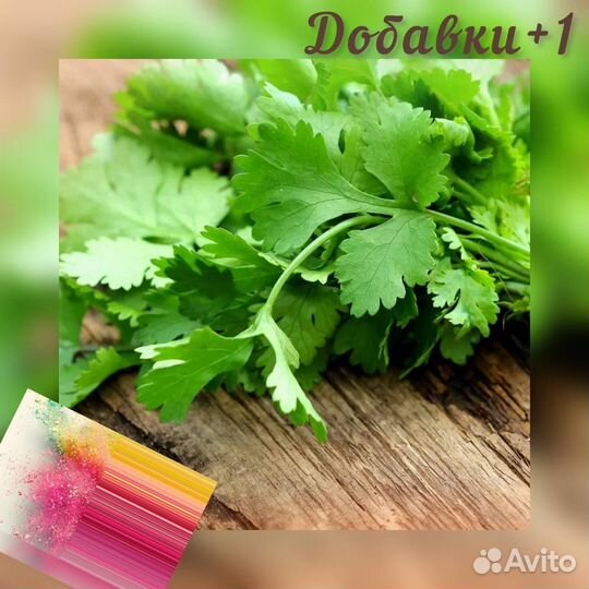 Сушенные травы Кинза