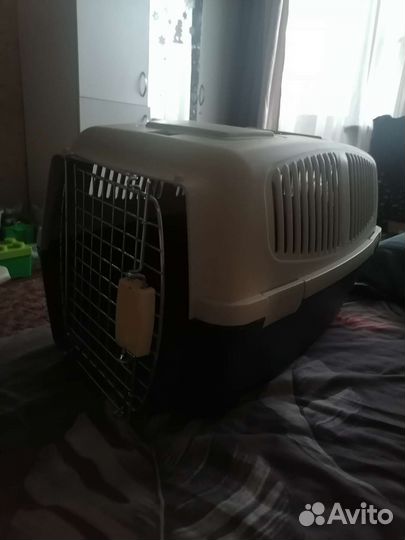 Переноска для животных большая на прокат