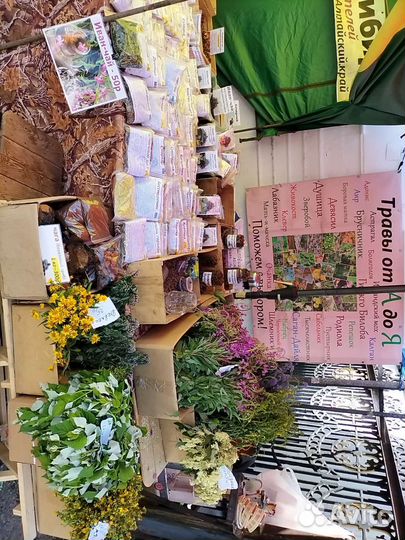 Чага, шиповник, травы