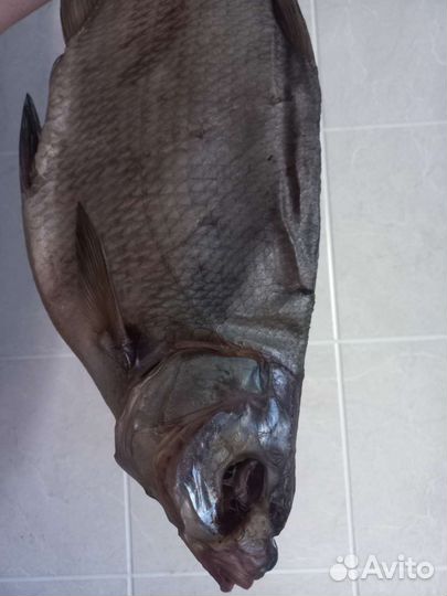 Лещ вяленый Донской вкусный,икряной