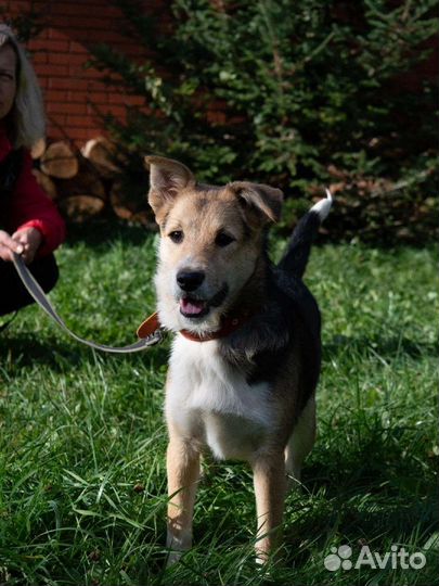 Годовалая девчуля