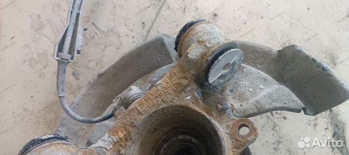 Цапфа задняя правая Audi A6 4B/C5 1997