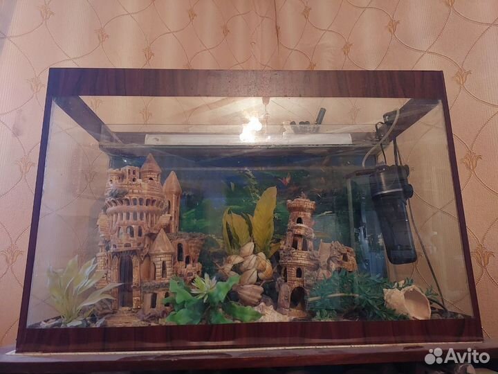 Аквариум
