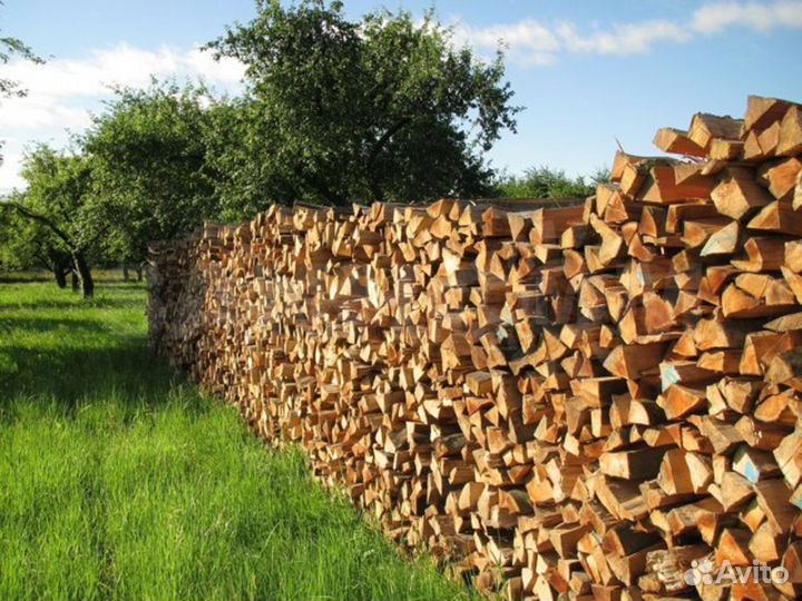 Дрова сухие в мешках (сосна, береза, осина)