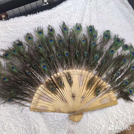 Веер из пера павлина