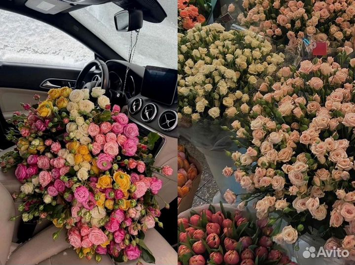 Кустовые розы с гарантией