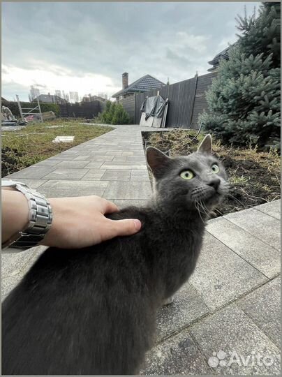 Тротуарная плитка ГОСТ заказ от 120 м2