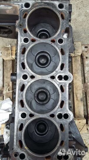 Шорт Блок цилиндров кайрон